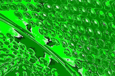 soyut yeşil doku, arkaplan, duvar kağıdını kopyala