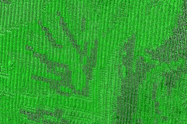 soyut yeşil doku, arkaplan, duvar kağıdını kopyala