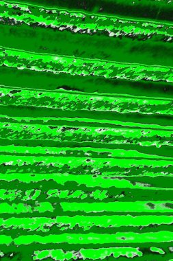 soyut yeşil doku, arkaplan, duvar kağıdını kopyala