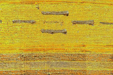 Kırmızı sarı ve siyah renkli kirli duvar, desenli arka plan.