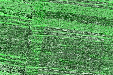 soyut yeşil doku, arkaplan, duvar kağıdını kopyala