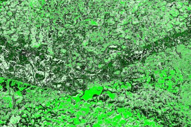 soyut yeşil doku, arkaplan, duvar kağıdını kopyala