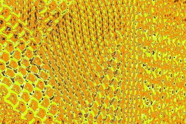 sarı renkli kirli duvar, desenli arka plan