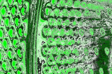 soyut yeşil doku, arkaplan, duvar kağıdını kopyala