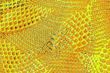 sarı renkli kirli duvar, desenli arka plan