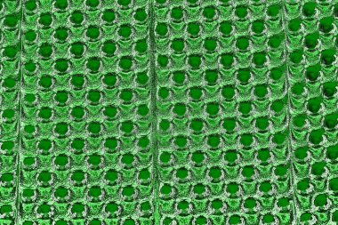 soyut yeşil doku, arkaplan, duvar kağıdını kopyala