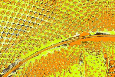 Renkli kirli duvar, desenli arkaplan