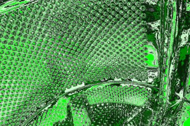 soyut yeşil doku, arkaplan, duvar kağıdını kopyala