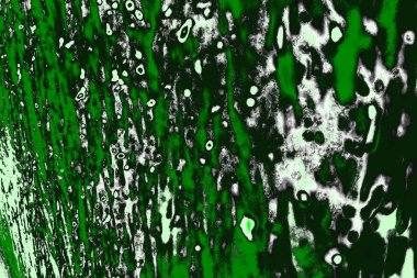 soyut yeşil doku, arkaplan, duvar kağıdını kopyala