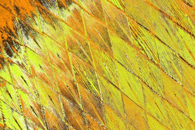 Kırmızı sarı ve siyah renkli kirli duvar, desenli arka plan.