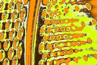 Renkli kirli duvar, desenli arkaplan