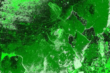 soyut yeşil doku, arkaplan, duvar kağıdını kopyala