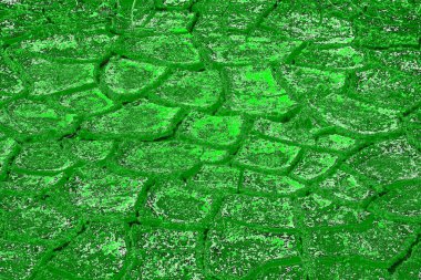 soyut yeşil doku, arkaplan, duvar kağıdını kopyala