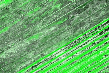 soyut yeşil doku, arkaplan, duvar kağıdını kopyala