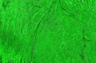 soyut yeşil doku, arkaplan, duvar kağıdını kopyala
