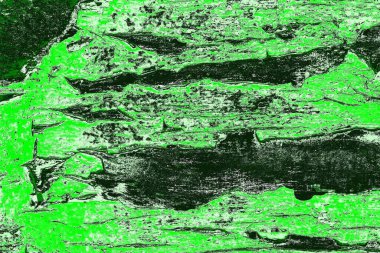 soyut yeşil doku, arkaplan, duvar kağıdını kopyala