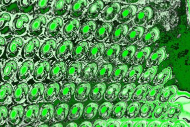 soyut yeşil doku, arkaplan, duvar kağıdını kopyala