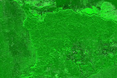 soyut yeşil doku, arkaplan, duvar kağıdını kopyala