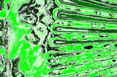 soyut yeşil doku, arkaplan, duvar kağıdını kopyala