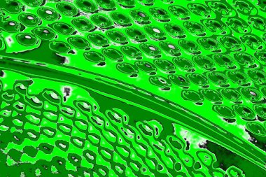 soyut yeşil doku, arkaplan, duvar kağıdını kopyala