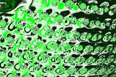 soyut yeşil doku, arkaplan, duvar kağıdını kopyala