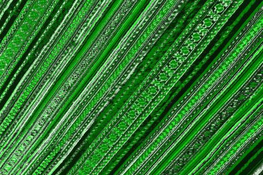 soyut yeşil doku, arkaplan, duvar kağıdını kopyala