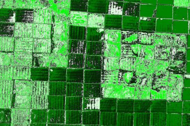 soyut yeşil doku, arkaplan, duvar kağıdını kopyala