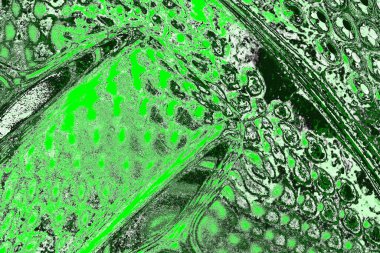 soyut yeşil doku, arkaplan, duvar kağıdını kopyala