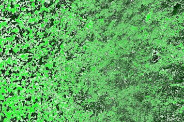 soyut yeşil doku, arkaplan, duvar kağıdını kopyala