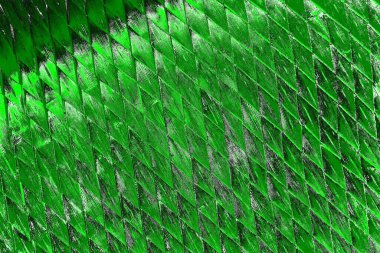 soyut yeşil doku, arkaplan, duvar kağıdını kopyala