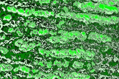 soyut yeşil doku, arkaplan, duvar kağıdını kopyala