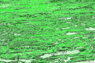 soyut yeşil doku, arkaplan, duvar kağıdını kopyala