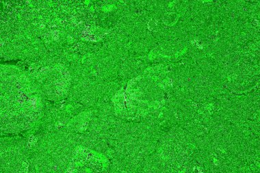 soyut yeşil doku, arkaplan, duvar kağıdını kopyala