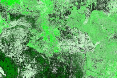 soyut yeşil doku, arkaplan, duvar kağıdını kopyala