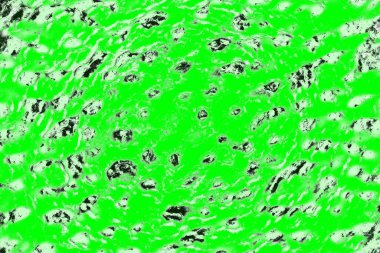 soyut yeşil doku, arkaplan, duvar kağıdını kopyala