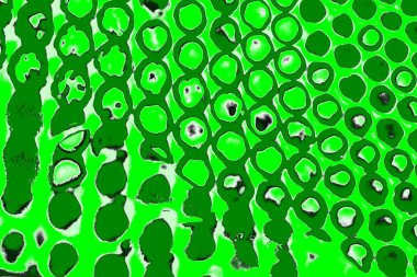 soyut yeşil doku, arkaplan, duvar kağıdını kopyala