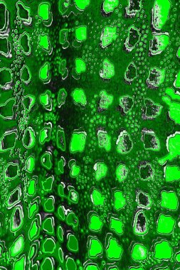 soyut yeşil doku, arkaplan, duvar kağıdını kopyala