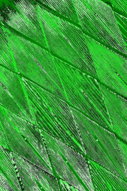 soyut yeşil doku, arkaplan, duvar kağıdını kopyala