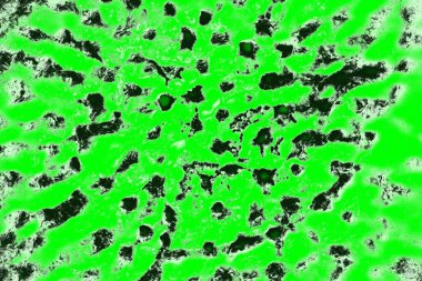 soyut yeşil doku, arkaplan, duvar kağıdını kopyala