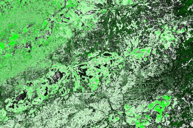 soyut yeşil doku, arkaplan, duvar kağıdını kopyala