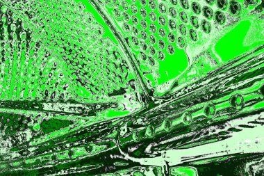 soyut yeşil doku, arkaplan, duvar kağıdını kopyala