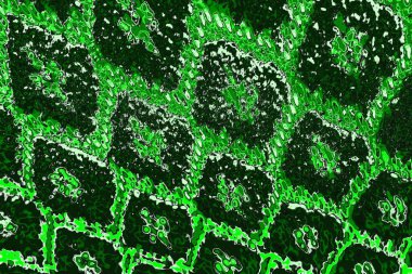 soyut yeşil doku, arkaplan, duvar kağıdını kopyala