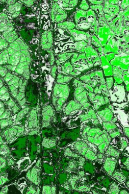 soyut yeşil doku, arkaplan, duvar kağıdını kopyala