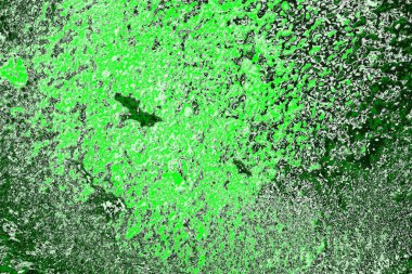 soyut yeşil doku, arkaplan, duvar kağıdını kopyala