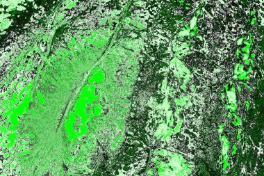 soyut yeşil doku, arkaplan, duvar kağıdını kopyala