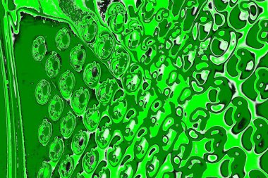 soyut yeşil doku, arkaplan, duvar kağıdını kopyala