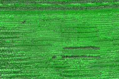 soyut yeşil doku, arkaplan, duvar kağıdını kopyala