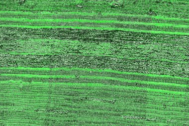 soyut yeşil doku, arkaplan, duvar kağıdını kopyala