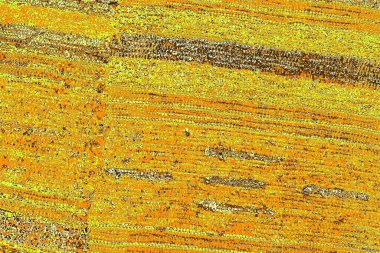 Kırmızı sarı ve siyah renkli kirli duvar, desenli arka plan.