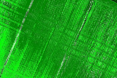 soyut yeşil doku, arkaplan, duvar kağıdını kopyala